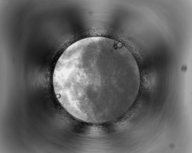 X0000103900308200810101251