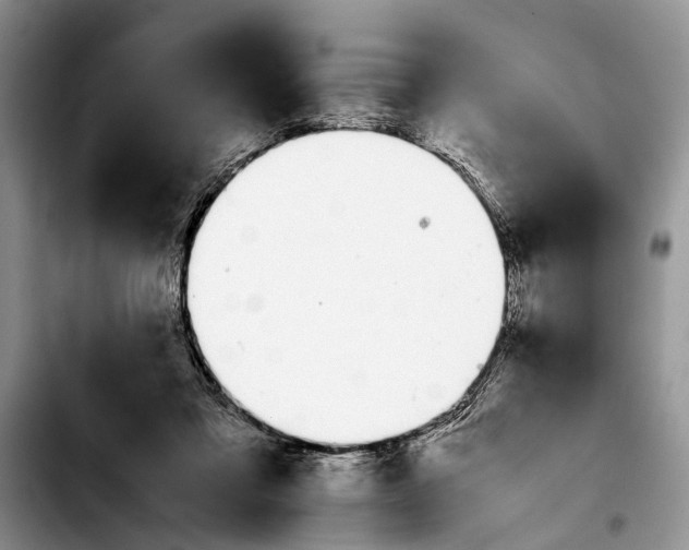 X0000103900309200810101251