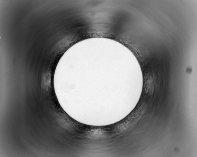 X0000103900310200810101251