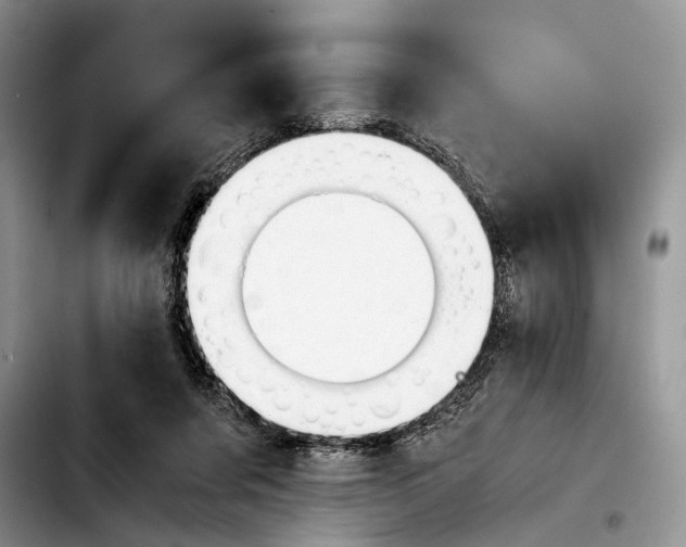 X0000103900311200810101251