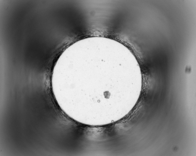 X0000103900313200810101251