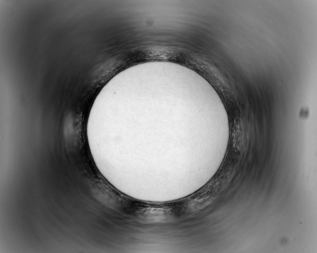 X0000103900314200810101251