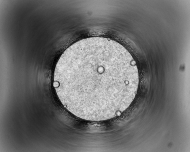 X0000103900315200810101251