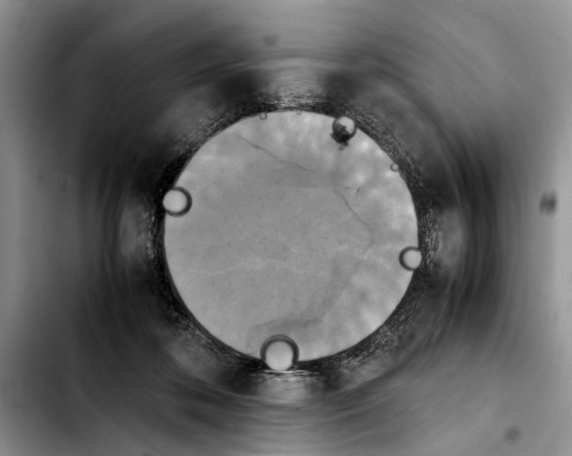 X0000103900316200810101251