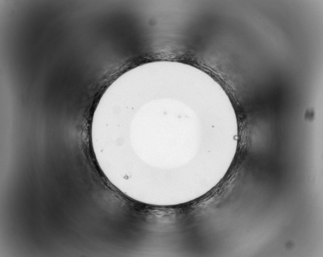 X0000103900317200810101251