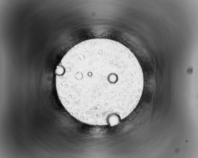 X0000103900319200810101251