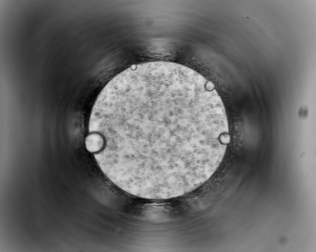 X0000103900320200810101251