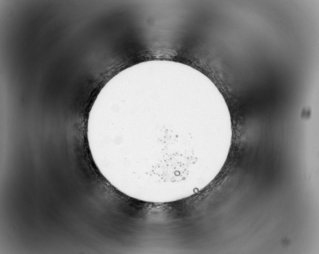 X0000103900321200810101251