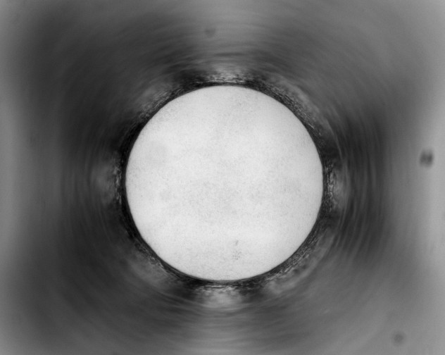 X0000103900322200810101251