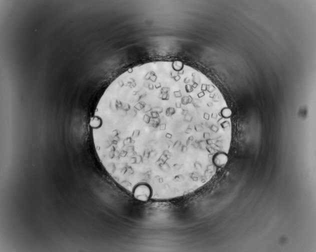 X0000103900324200810101251