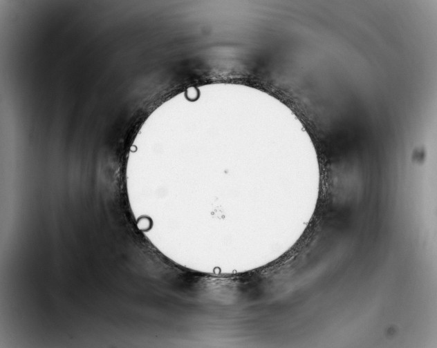 X0000103900327200810101251