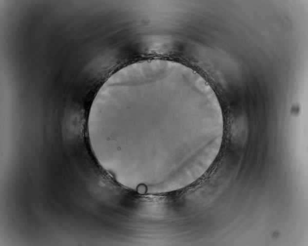 X0000103900328200810101251