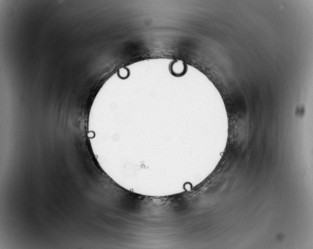 X0000103900329200810101251