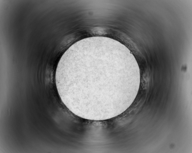 X0000103900330200810101251