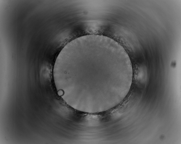 X0000103900332200810101251