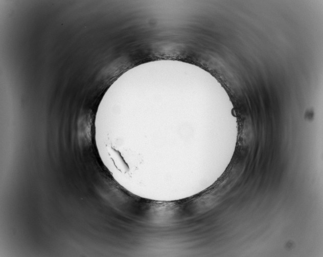 X0000103900334200810101251