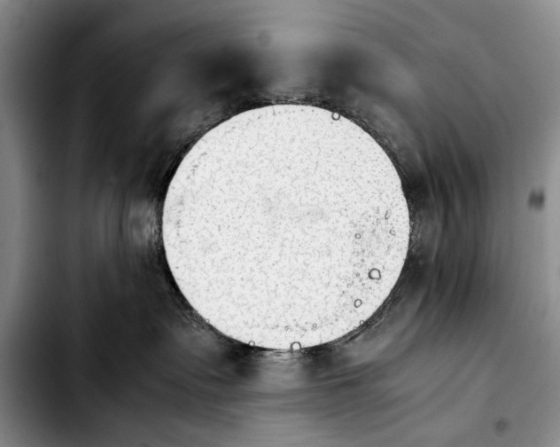 X0000103900335200810101251