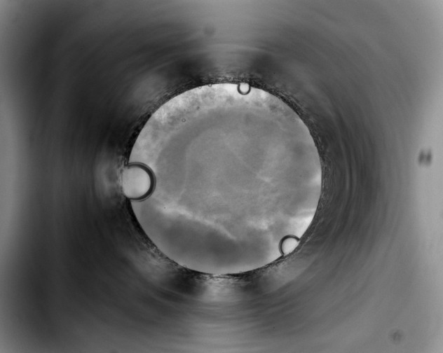 X0000103900336200810101251