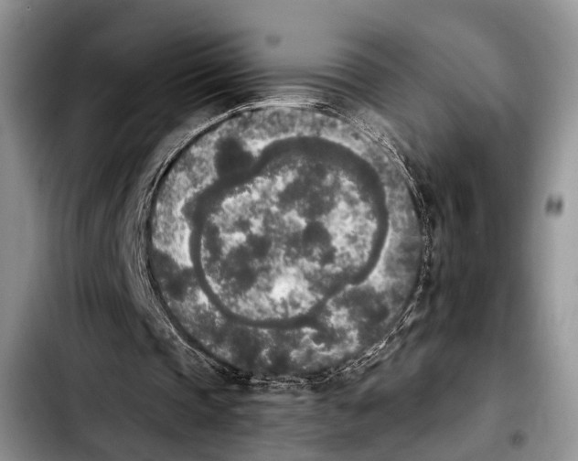 X0000103900337200810101250