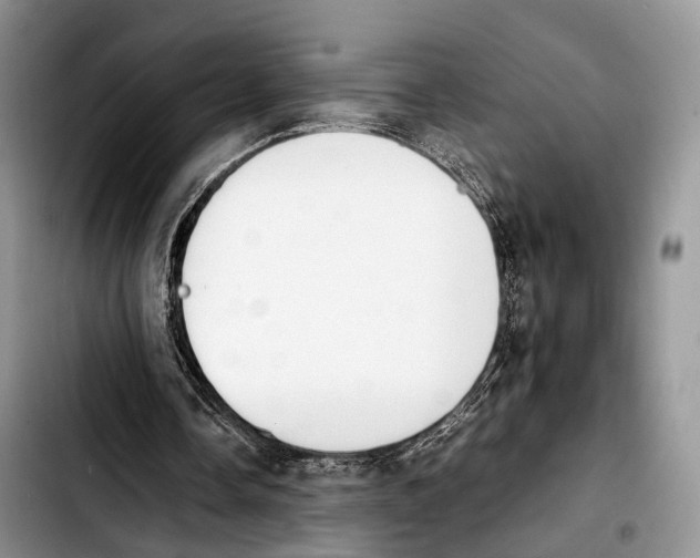 X0000103900338200810101250