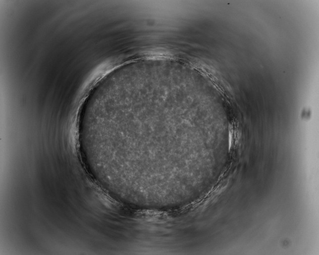 X0000103900339200810101250