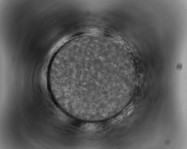 X0000103900341200810101250