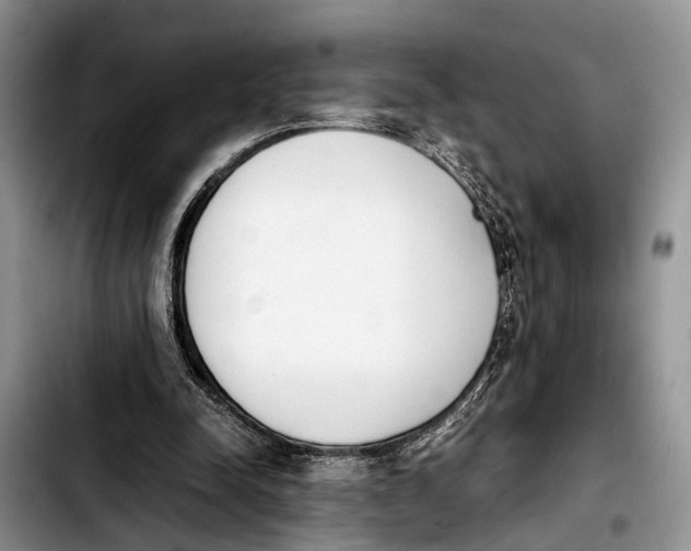 X0000103900342200810101250