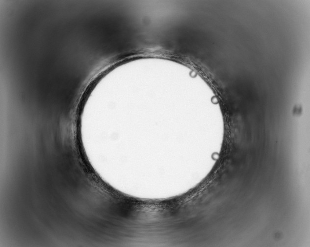 X0000103900344200810101250