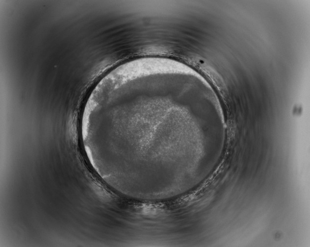 X0000103900345200810101250