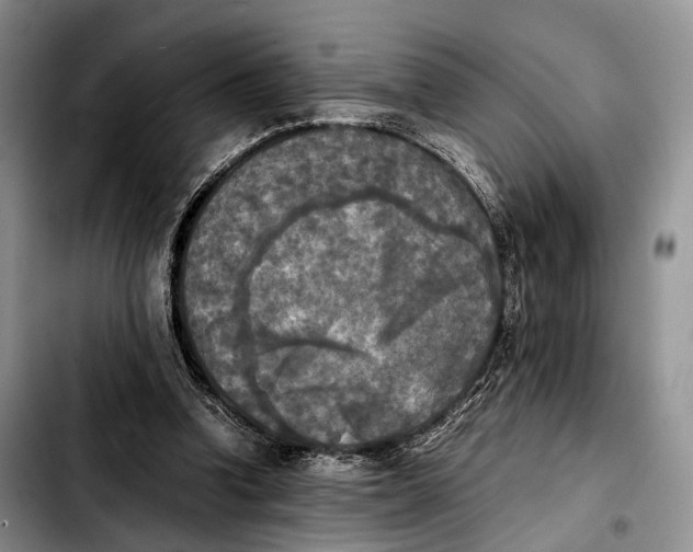 X0000103900346200810101250