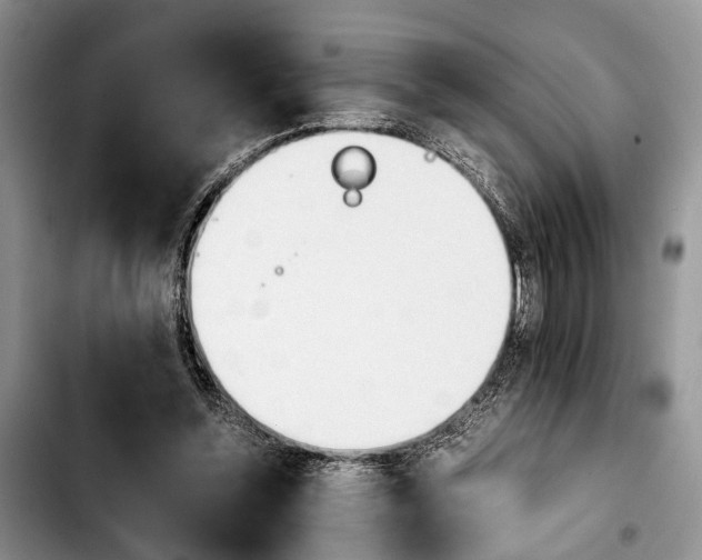 X0000103900348200810101250