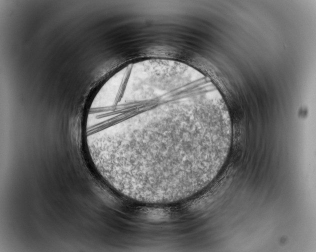 X0000103900349200810101250