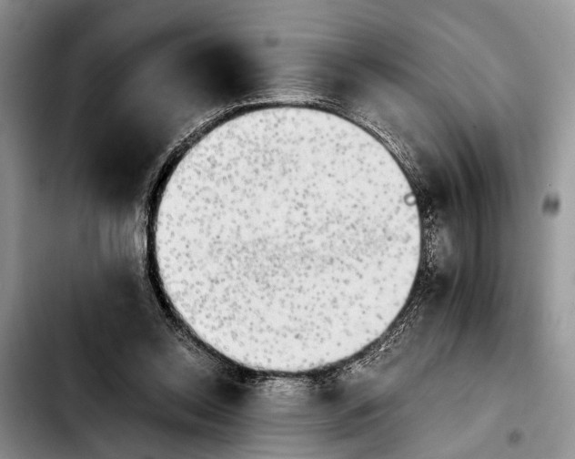 X0000103900350200810101250