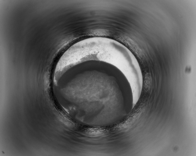 X0000103900351200810101250