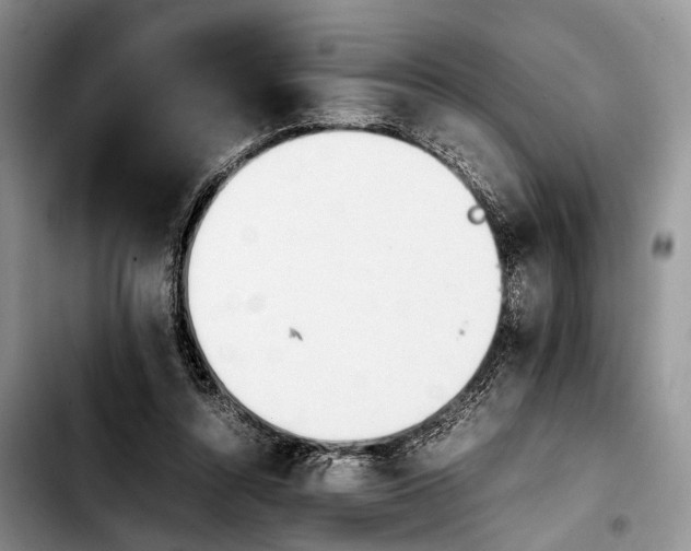 X0000103900352200810101250