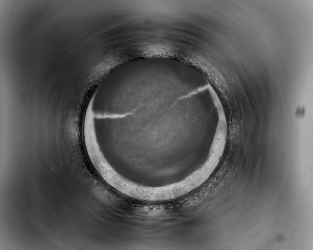 X0000103900353200810101250