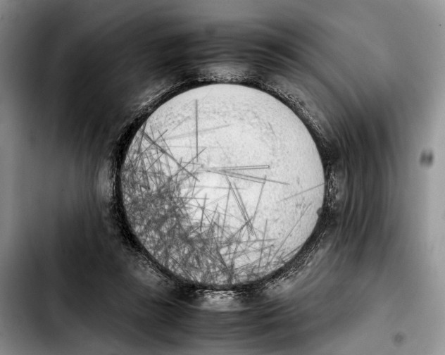 X0000103900355200810101250