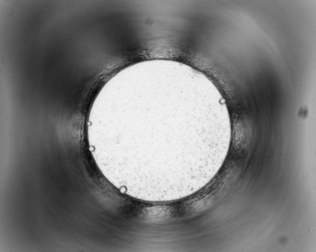 X0000103900356200810101250