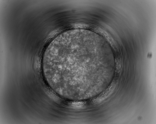 X0000103900357200810101250