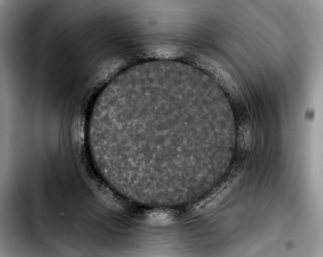 X0000103900358200810101250