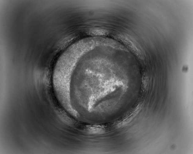 X0000103900359200810101250