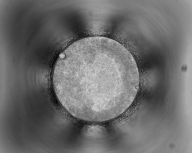 X0000103900360200810101250