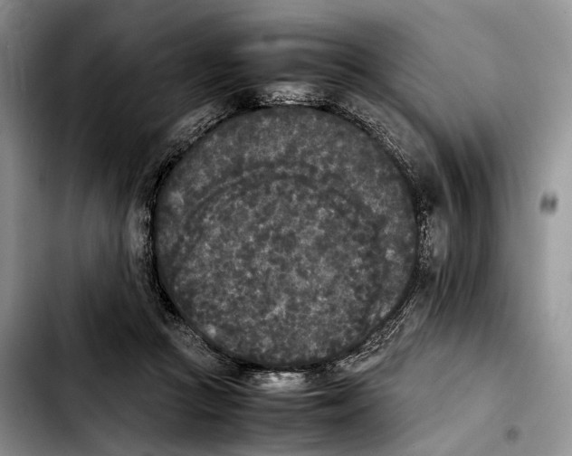 X0000103900361200810101250