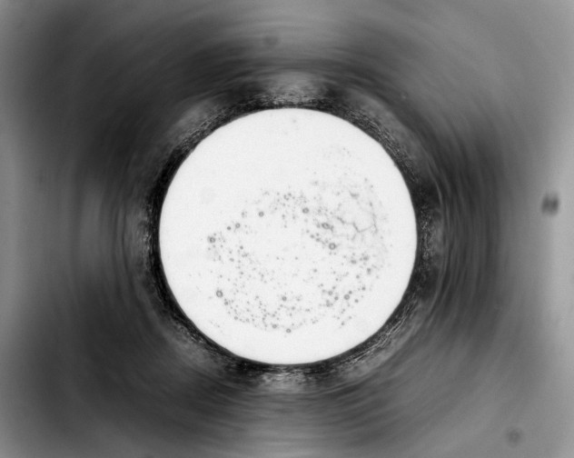 X0000103900362200810101250