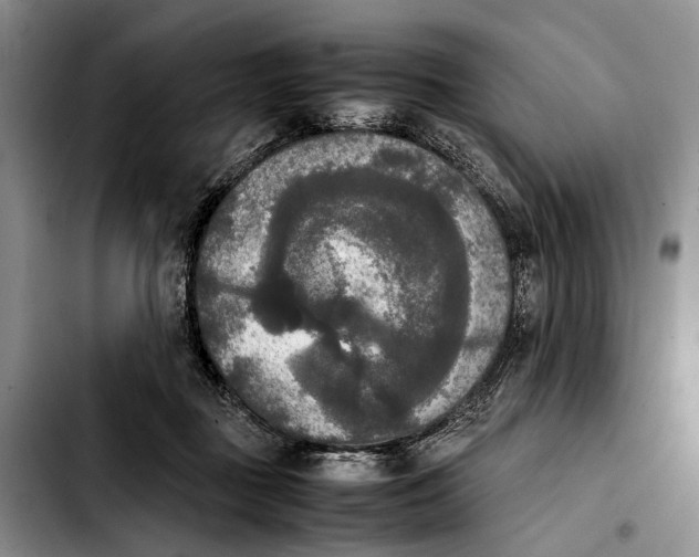 X0000103900363200810101250