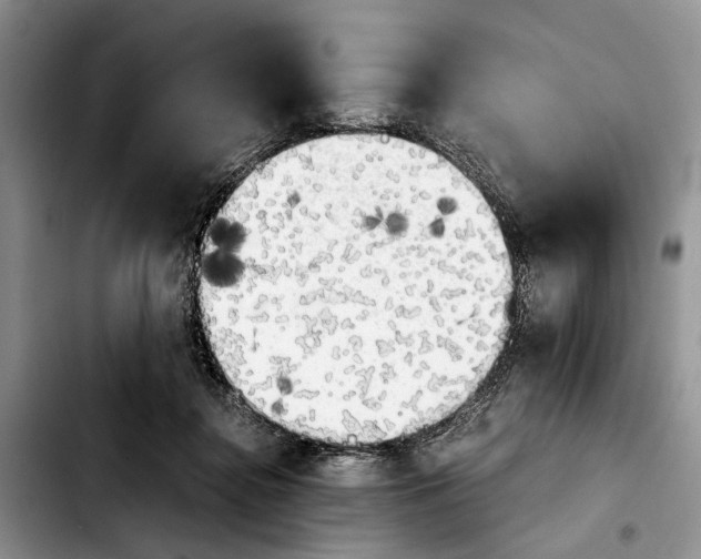 X0000103900364200810101250