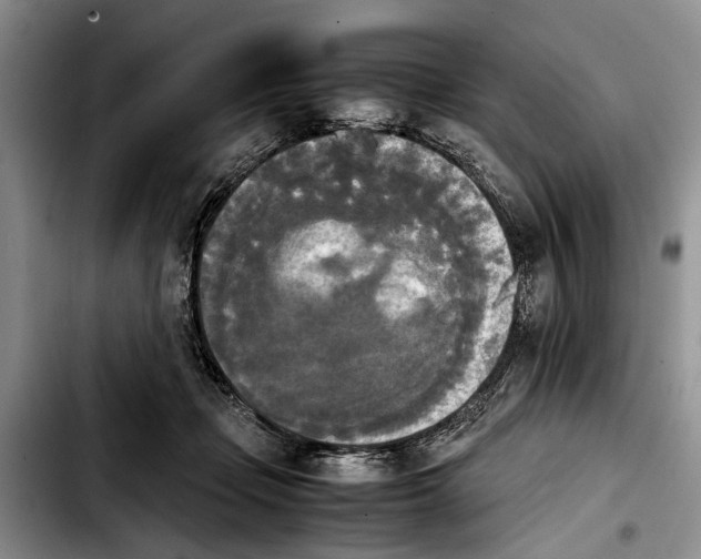 X0000103900365200810101250