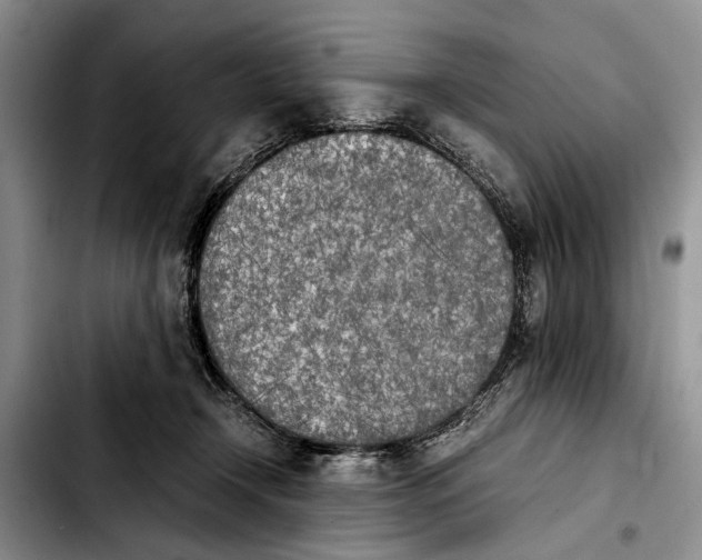 X0000103900366200810101250