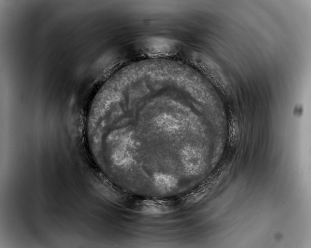 X0000103900367200810101250