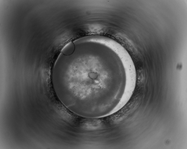 X0000103900369200810101250